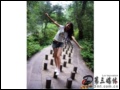 ħ��ѧ��: ÿ��֮�ǳ�����ҫ ��ħ��ѧ�á�MM������